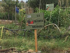 huerta solidaria
