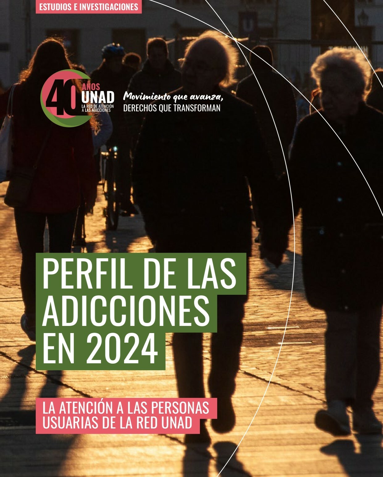 UNAD Perfil de las Adicciones 2024